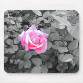 Hübsch Rosa Rose Schwarz-weiß Mousepad