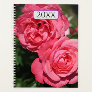 Hübsch rosa Rosen Bläsernte Jahr Monat Planer