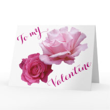 Hübsch rosa Rosen Valentine Liebe schön blumenreic