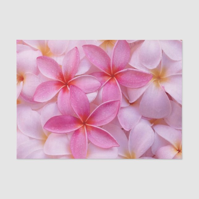 Hübsch rosa Sommer-Blume Seidenpapier (Vorderseite)