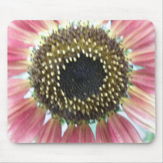 Hübsch rosa Sonnenblumenmousepad Mousepad