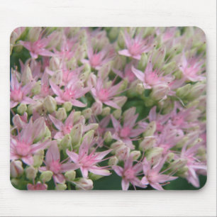 Hübsch rosa tropische Blume Mousepad