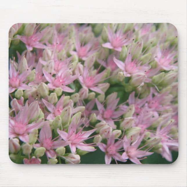 Hübsch rosa tropische Blume Mousepad (Vorne)