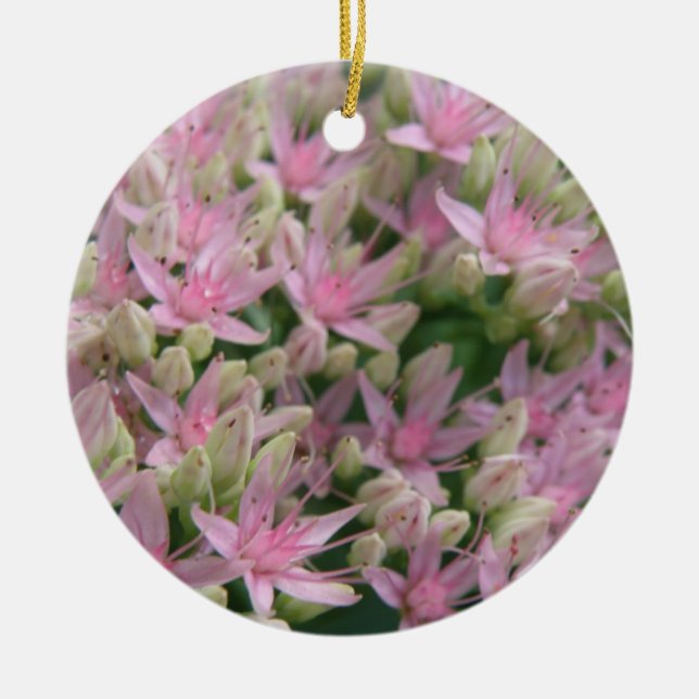 Hübsch rosa Tropische Blume Ornamente (Vorne)