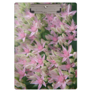 Hübsch rosa tropische Blume Zwischenablage Klemmbrett