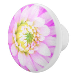 Hübsch rosa, weiß und gelb Kaktus Dahlia Macro Keramikknauf