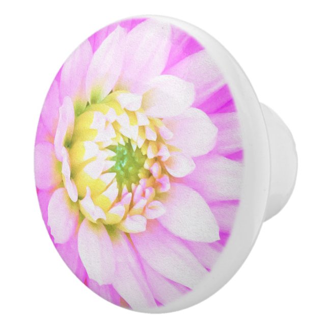 Hübsch rosa, weiß und gelb Kaktus Dahlia Macro Keramikknauf (Rechts)