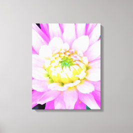 Hübsch rosa, weiß und gelb Kaktus Dahlia Macro Leinwanddruck