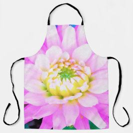 Hübsch rosa, weiß und gelb Kaktus Dahlia Macro Schürze