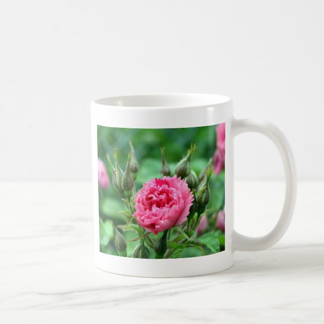 hübsch-rosa-wilde Rose Knospen und Blume Tasse (Rechts)