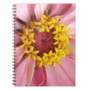 Hübsch rosa Zinnia-Notebook Notizblock