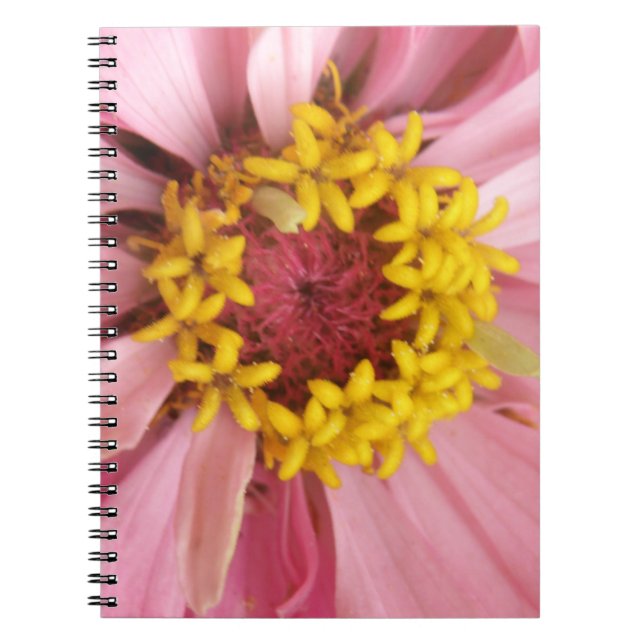 Hübsch rosa Zinnia-Notebook Notizblock (Vorderseite)