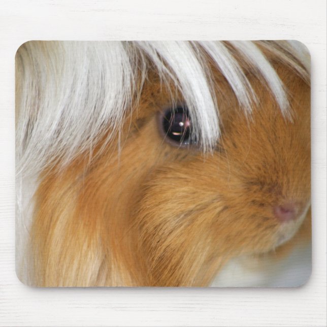 Hübsch, Tricolor, glatt, Guinea Schweinefass Mousepad (Vorne)
