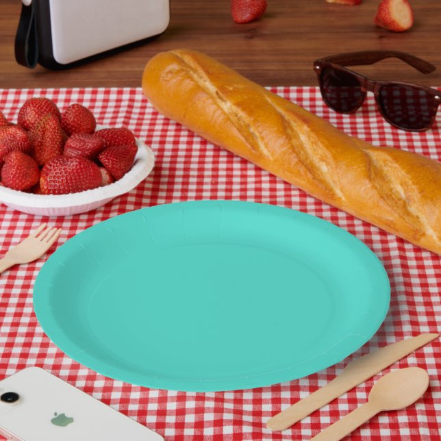 Hübsch Türkis Blau Solid Color Pappteller (Picknick)