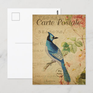 Hübsch Vintag Blue Jay Postkarte
