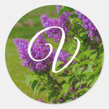 Hübsch-violette Blumen, Monogramm-Umschlag Aufkleb