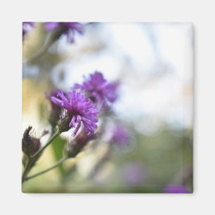 Hübsch-violette Blumen Original-Gartenfotografie Magnet