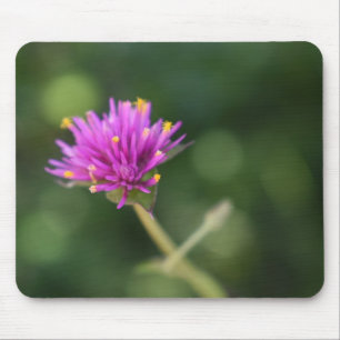 Hübsch-violette Blumen Original-Gartenfotografie Mousepad
