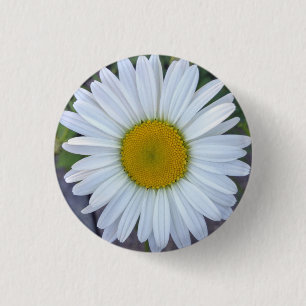 Hübsch White Daisy Foto Button