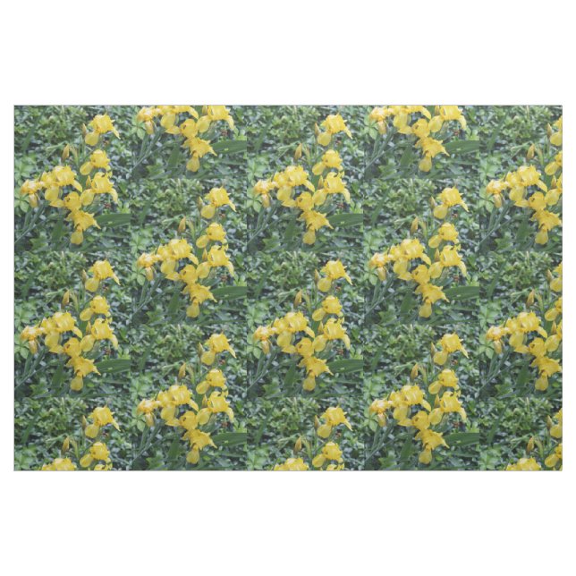 Hübsch Yellow Irises Garden Blume Stoff (Fat Quarter (45,7 x 55,9 cm))