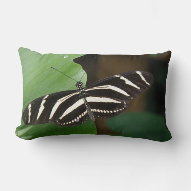 Hübsch Zebra Langwing Butterfly Kissen (Vorderseite)