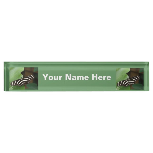 Hübsch Zebra Longwing Butterfly Namplate Namensplakette (Vorderseite)