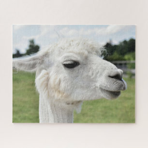 Hübsche Alpaca Llama Fotografie Puzzle