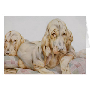 Hübsche alte Bloodhounds, Welpenhunde von EJ Detmo