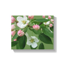 Hübsche Apfelblüte Blumenblüte, einfach grün Hygge