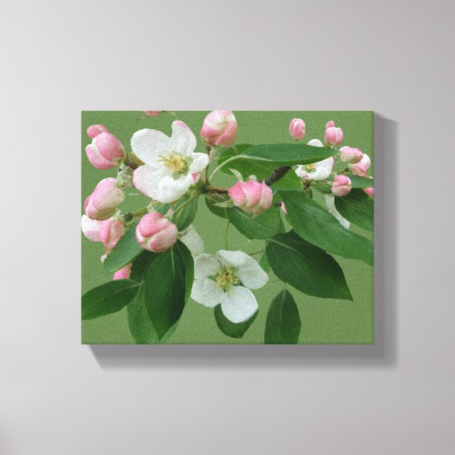 Hübsche Apfelblüte Blumenblüte, einfach grün Hygge Leinwanddruck (Vorderseite)