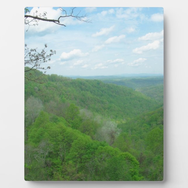 Hübsche appalachische Übersicht Fotoplatte (Vorderseite)