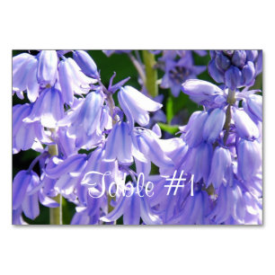 Hübsche Bell-Blume Tischnummer