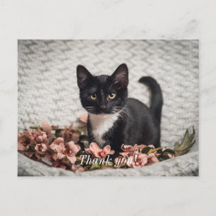 Hübsche Bella Rose Dankeschön-Postkarte Postkarte