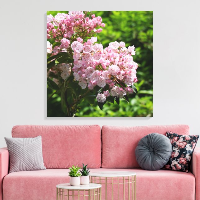 Hübsche Berg Laurel Rosa Blume Leinwand (Insitu (Wohnzimmer))