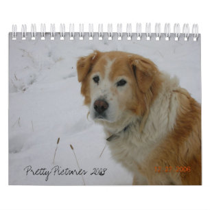 Hübsche Bilder 2008 Kalender