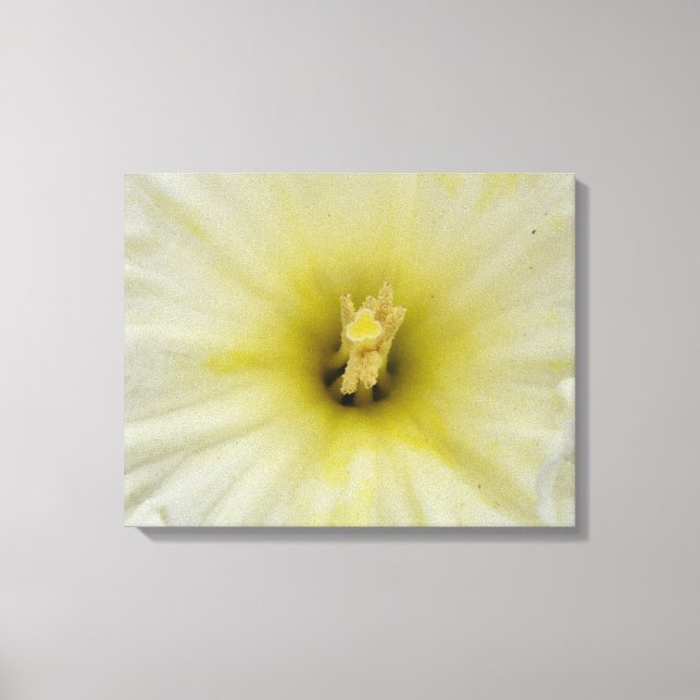 Hübsche, blasse Canvas Leinwanddruck (Vorderseite)