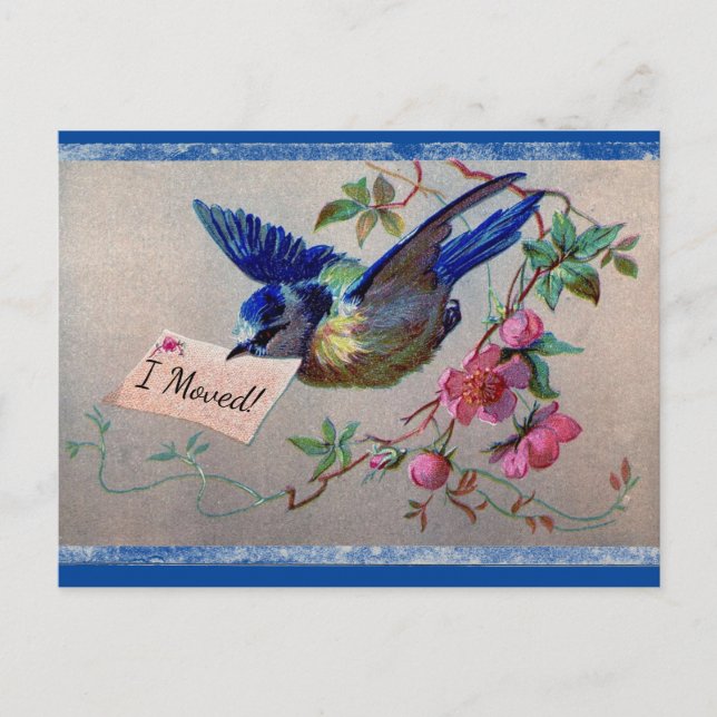 Hübsche Blaue Vogel Ich zog Postkarte (Vorderseite)