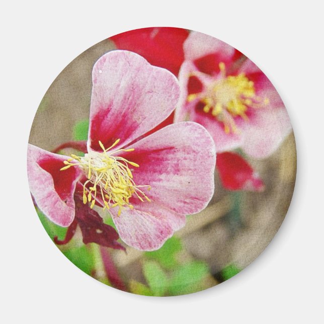 HÜBSCHE BLUME 2 MAGNET (Vorne)