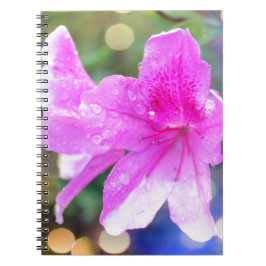 Hübsche Blume aus rosa Garten. Pflanzenbotanisches Notizblock