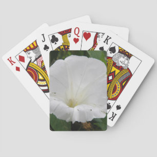 Hübsche Blume Convolvula Spielkarten