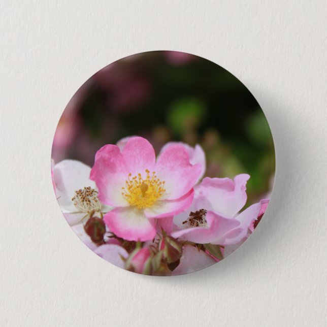 hübsche Blume für die wilde Rose Button (Vorderseite)