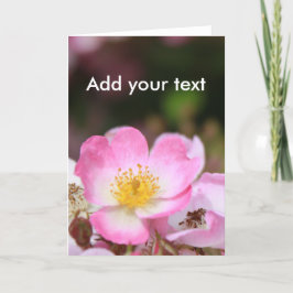 hübsche Blume für die wilde Rose der Frauen in Ros Feiertagskarte