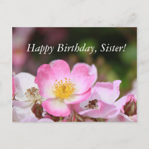 hübsche Blume für die wilde Rose Postkarte