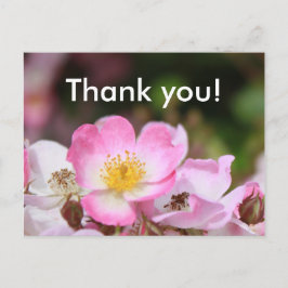 hübsche Blume für die wilde Rose Postkarte