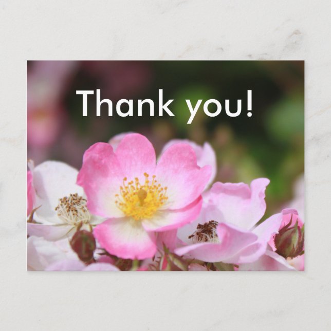 hübsche Blume für die wilde Rose Postkarte (Vorderseite)