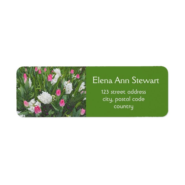 Hübsche Blume in Rosa und Weiß (Vorne)