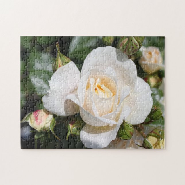 hübsche Blume mit weißer Rose. Liebe, Romantik Puzzle (Horizontal)