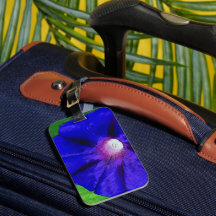 Hübsche Blumen