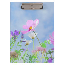 Hübsche Blumen in den empfindlichen Farben