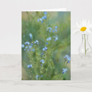 Hübsche Blumen Wildblume Art Note Card Karte